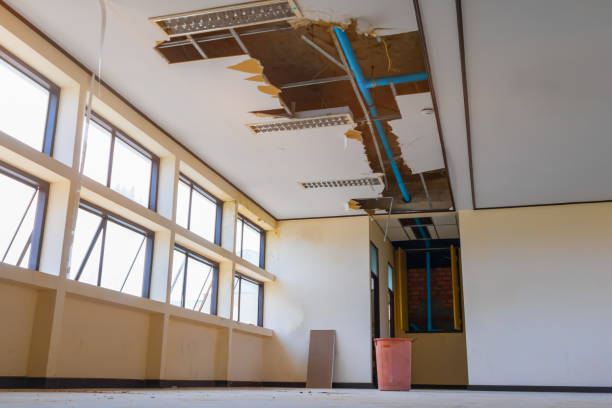Best Water damage cleanup near me  in Fort Madison, IA