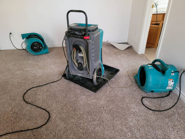 Best Water damage contractors near me  in Fort Madison, IA