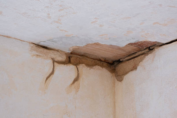 Best Flood damage cleanup  in Fort Madison, IA