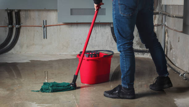Best Local water damage restoration  in Fort Madison, IA