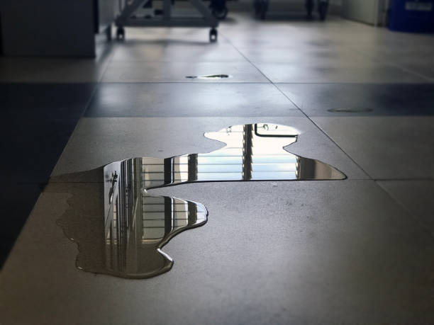 Best Water damage cleanup near me  in Fort Madison, IA