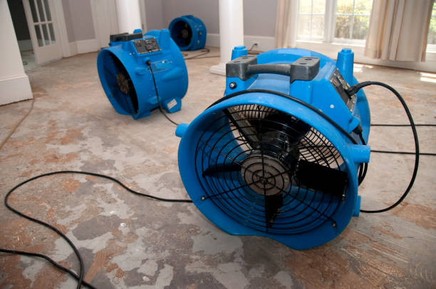 Best Mold removal after water damage  in Fort Madison, IA
